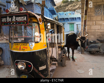 India, Rajasthan, Jodhpur, roads, cow emerging from behind autorickshaw Stock Photo