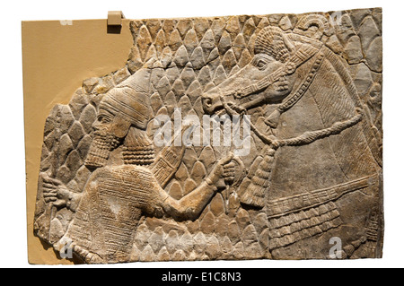 A 7th century BC sculptured relief showing an Assyrian archer leading a horse. From SW Palace of Sennacherib in Nineveh, Iraq. Stock Photo