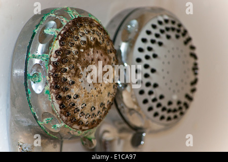 lime scale on shower head Stock Photo