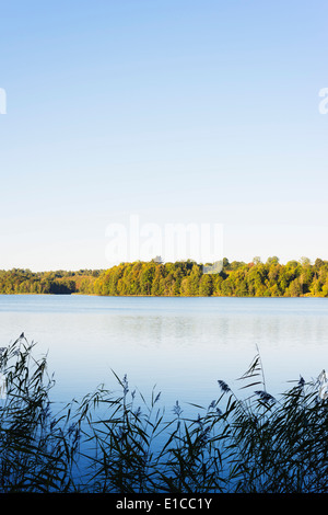 Europe, Poland, Suwalki Landscape Park Stock Photo