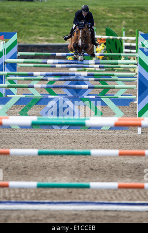 HITS on the Hudson Show Jumping, Saugerties, NY Stock Photo