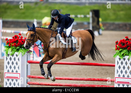 HITS on the Hudson Show Jumping, Saugerties, NY Stock Photo