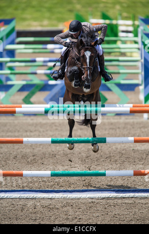 HITS on the Hudson Show Jumping, Saugerties, NY Stock Photo