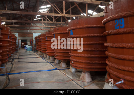 Nước Mắm Fish Sauce Factory Phu Quoc Island Vietnam Stock Photo