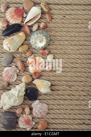 Sea shells and stones on background of rope closeup Stock Photo