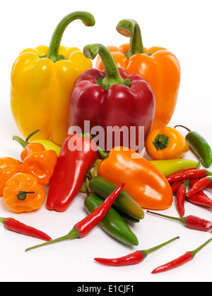 Variety of sweet red, yellow, orange peppers, Jalapeno, Cubanelle, Thai peppers, Scotch Bonnet pepper, mini sweet peppers. Stock Photo