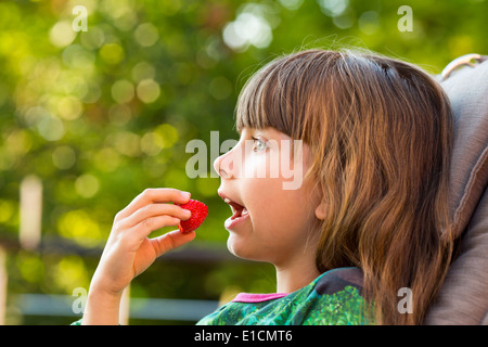 Young caucasian girl eating red strawberry outdoors during summer time. Stock Photo