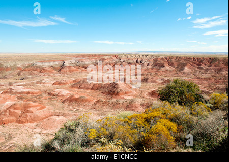 Painted Desert badlands as seen from the rim at Tawa Point Painted desert USA America Arizona  State Stunning Awesome Stock Photo