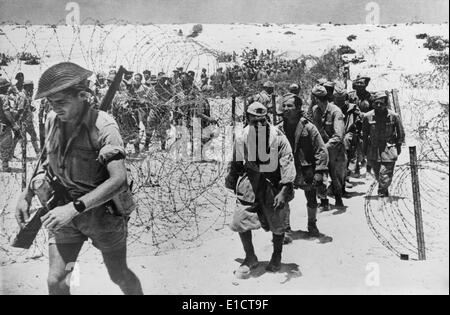 German and Italian prisoners captured by the British in Bardia, Libya ...
