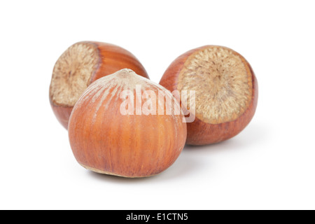 three whole hazelnuts, isolated on white background Stock Photo
