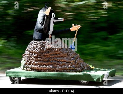 Rauen, Germany. 31st May, 2014. A participant dressed as mole races in his soapbox during the soapbox car race in Rauen, Germany, 31 May 2014. More than fifty participants take part in the gravity racer race. Photo: Patrick Pleul/dpa/Alamy Live News Stock Photo