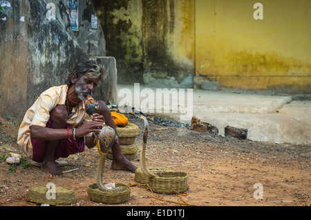 VARKALA, INDIA - JANUARY 9: snake charmer enchanting cobras in a street of Varkala, India, January 9, 2014. Stock Photo