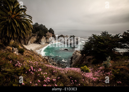 Julia Pfeiffer Burns State Park Stock Photo