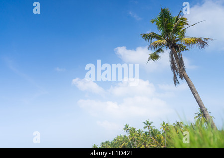 Incredible indian beaches, Black Beach, Varkala. Kerala, India. Stock Photo