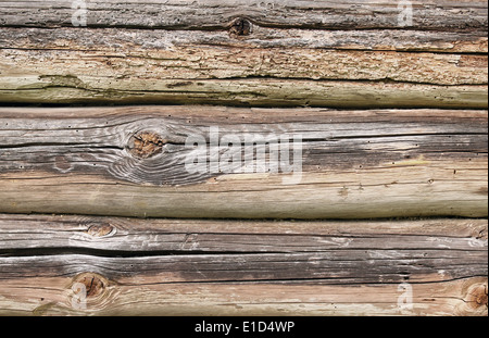 Old natural rotten wood, perfect background texture Stock Photo