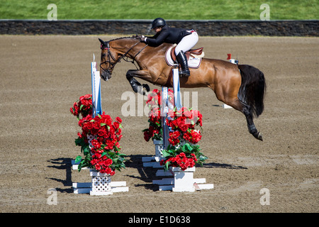 HITS on the Hudson Show Jumping, Saugerties, NY Stock Photo