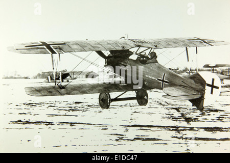 The LFG Roland D VI was a German fighter aircraft used during World War ...
