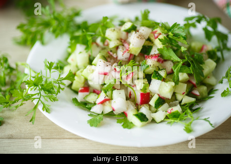 fresh salad of radish and cucumber on a white plate Stock Photo