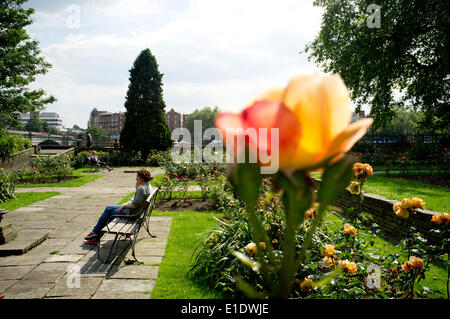 Putney London, UK. 1st June 2014. A Member of the public relaxes on a park bench on a warm summer day Credit:  amer ghazzal/Alamy Live News Stock Photo