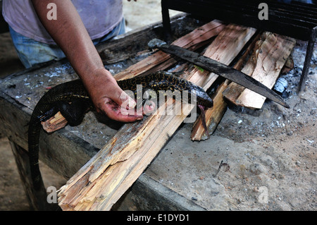 Lizard cooking - Traditional kitchen in Industria - PANGUANA . Department of Loreto .PERU Stock Photo