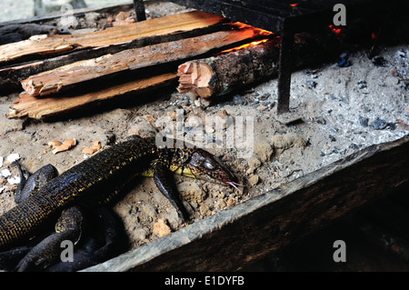 Lizard cooking - Traditional kitchen in Industria - PANGUANA . Department of Loreto .PERU Stock Photo