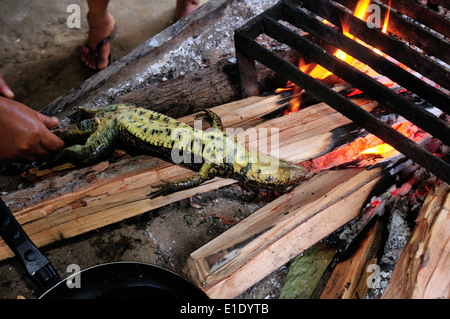 Lizard cooking - Traditional kitchen in Industria - PANGUANA . Department of Loreto .PERU Stock Photo