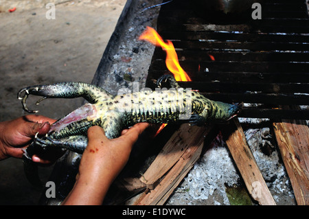 Lizard cooking - Traditional kitchen in Industria - PANGUANA . Department of Loreto .PERU Stock Photo