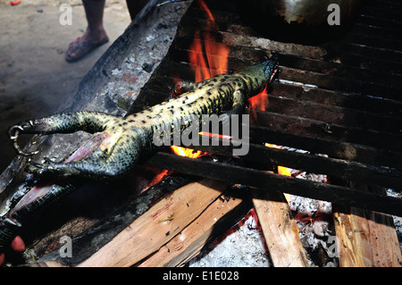 Lizard cooking - Traditional kitchen in Industria - PANGUANA . Department of Loreto .PERU Stock Photo