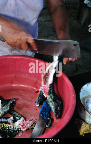 Lizard cooking - Traditional kitchen in Industria - PANGUANA . Department of Loreto .PERU Stock Photo