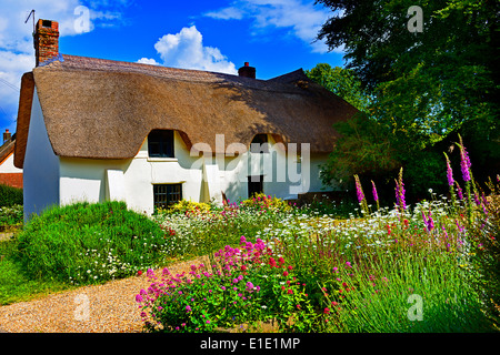 Country Cottage with flowers in foreground Stock Photo