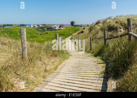 A boardwalk / footpath through the sand dunes above West Beach, Littlehampton, West Sussex. Stock Photo