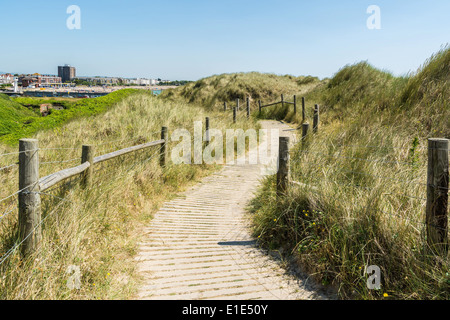 A boardwalk / footpath through the sand dunes above West Beach, Littlehampton, West Sussex. Stock Photo