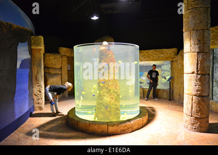 The Malta National Aquarium, Qawra (Il-Qawra), Saint Paul's Bay (San Pawl il-Baħar), Northern District, Republic of Malta Stock Photo