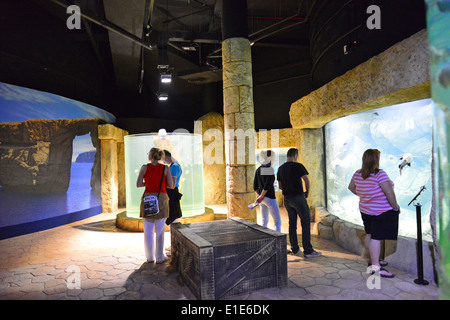 The Malta National Aquarium, Qawra (Il-Qawra), Saint Paul's Bay (San Pawl il-Baħar), Northern District, Republic of Malta Stock Photo