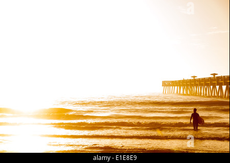 A Florida surfer greets the new day on a golden sunrise morning at Jacksonville Beach. USA. Stock Photo