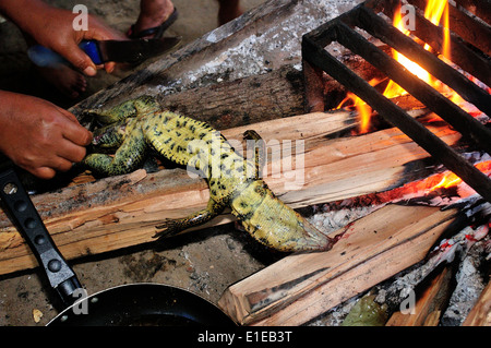 Lizard cooking - Traditional kitchen in Industria - PANGUANA . Department of Loreto .PERU Stock Photo