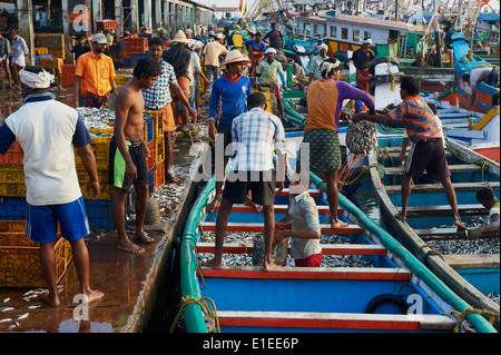 India, state of Kerala, Kozhikode or Calicut, at the fish market Stock ...