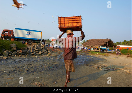 India, Kerala state, Calicut or kozhikode, fishing harbour Stock Photo