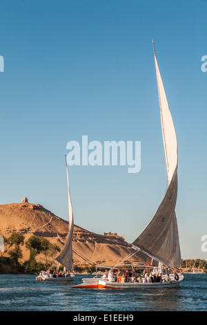 Faluka sailboats sailing on river Nile, Aswan, Egypt Stock Photo