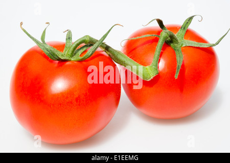 Two tomatoes on the vine cut out against a white background. Stock Photo