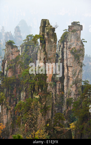 China, Hunan Province, Zhangjiajie, Wulingyuan Scenic Area, Zhangjiajie National Forest Park, Unesco world Heritage Stock Photo