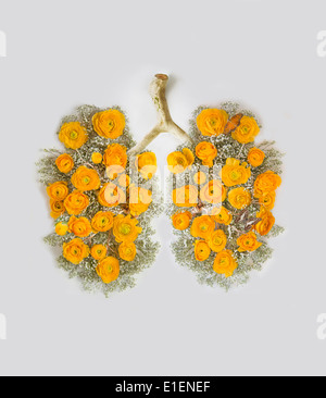 clean lungs with yellow flowers Stock Photo