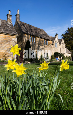 Cotswold cottages with Spring Daffodils Stock Photo
