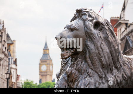 Lion in Trafalgar Square. London, England Stock Photo