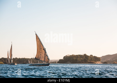 Faluka sailboats sailing on river Nile, Aswan, Egypt Stock Photo