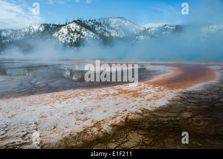 Colorful bacteria grow in the overflow from hot spring. Yellowstone ...