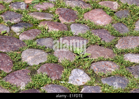 Stone and grass pavement, full frame background Stock Photo