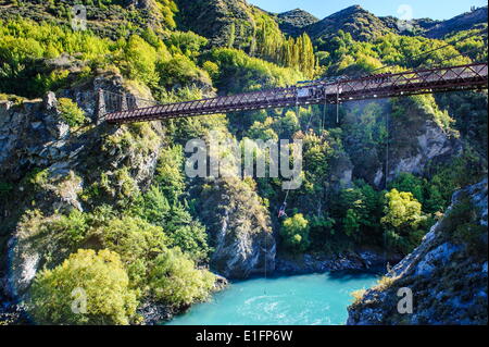 AJ Hackett Bungy jumping on the Kawarau bridge over the Kawarau River near Queenstown, Otago, South Island, New Zealand, Pacific Stock Photo