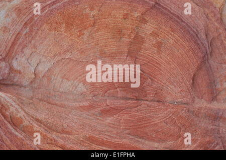 Detail of sandstone with circular rings, Valley of Fire State Park, Nevada, United States of America, North America Stock Photo