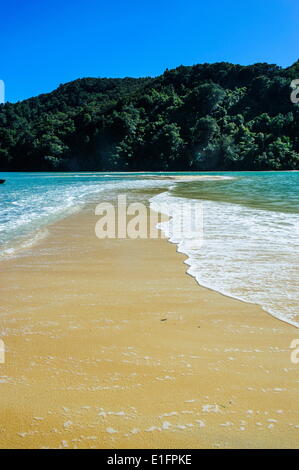 Sand split in the Abel Tasman National Park, South Island, New Zealand ...
